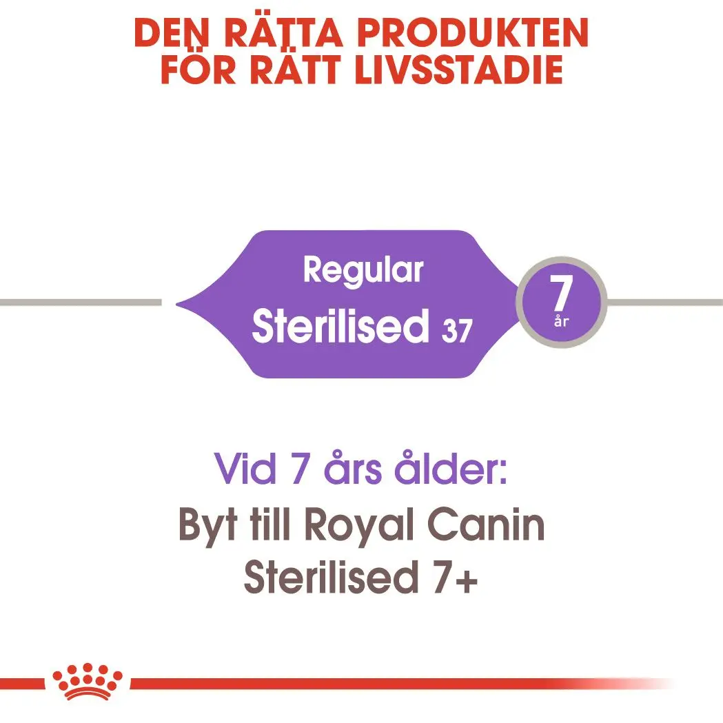 Sterilised Adult kissan kuivaruoka