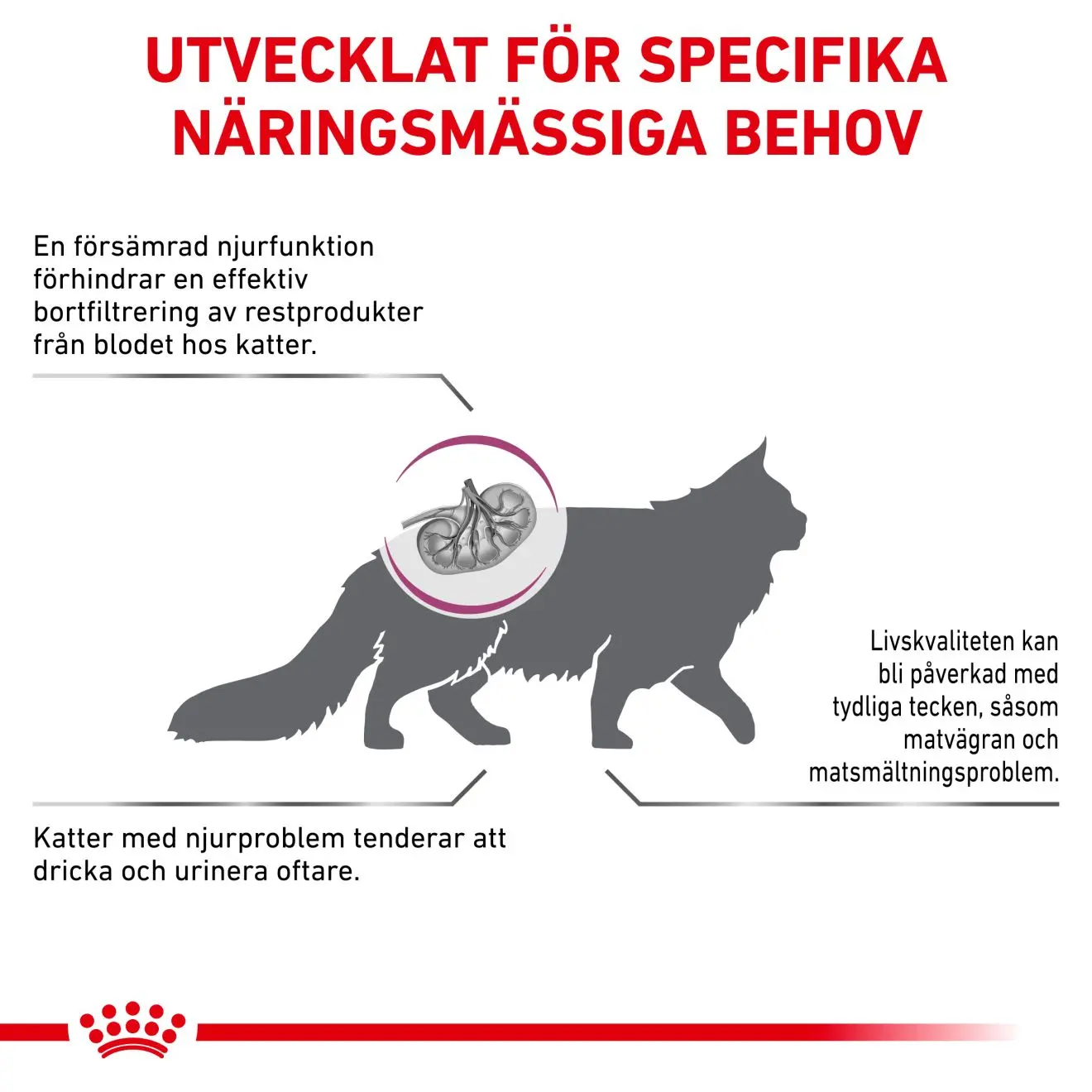 Renal Select kissan kuivaruoka