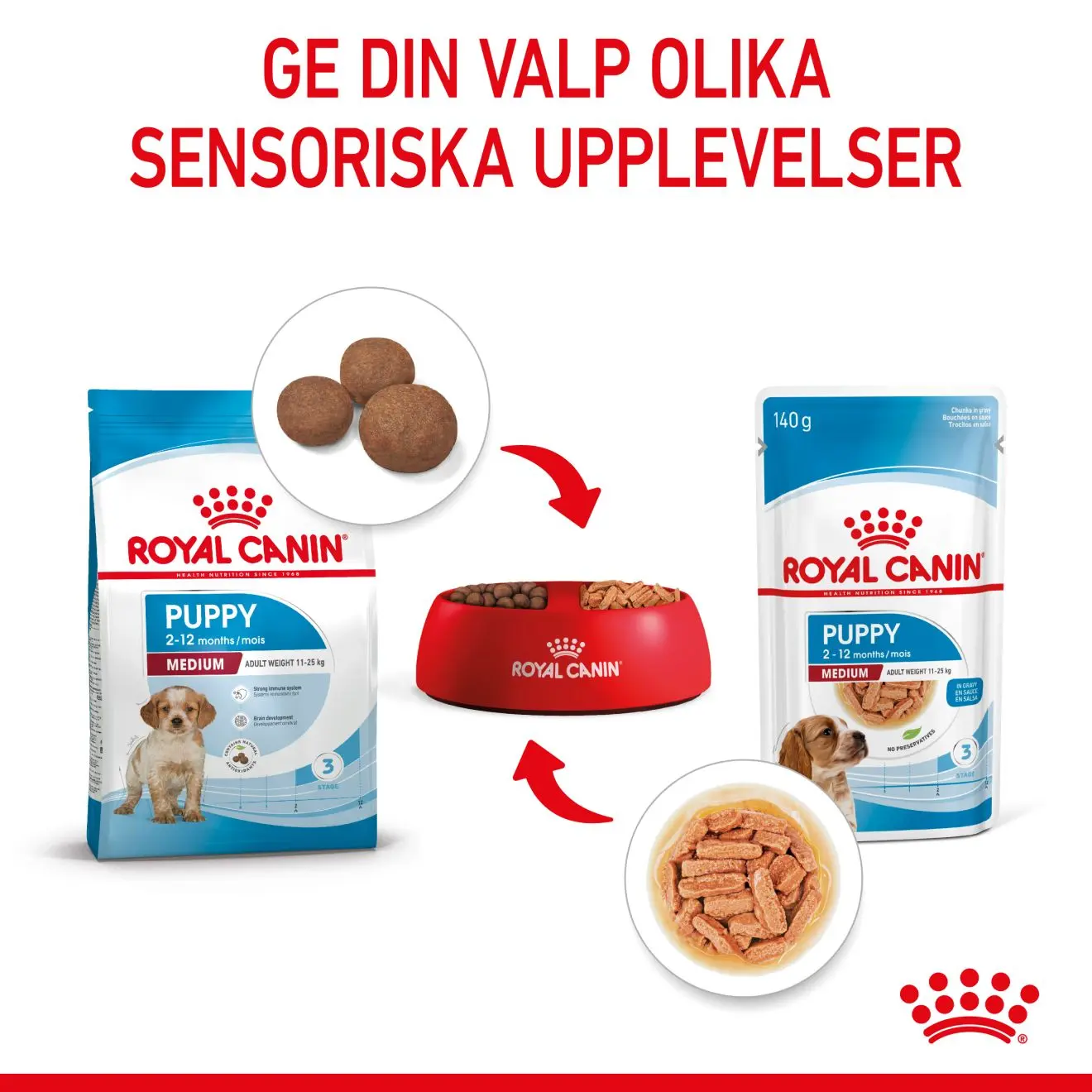 Medium Puppy Märkäruoka pennuille