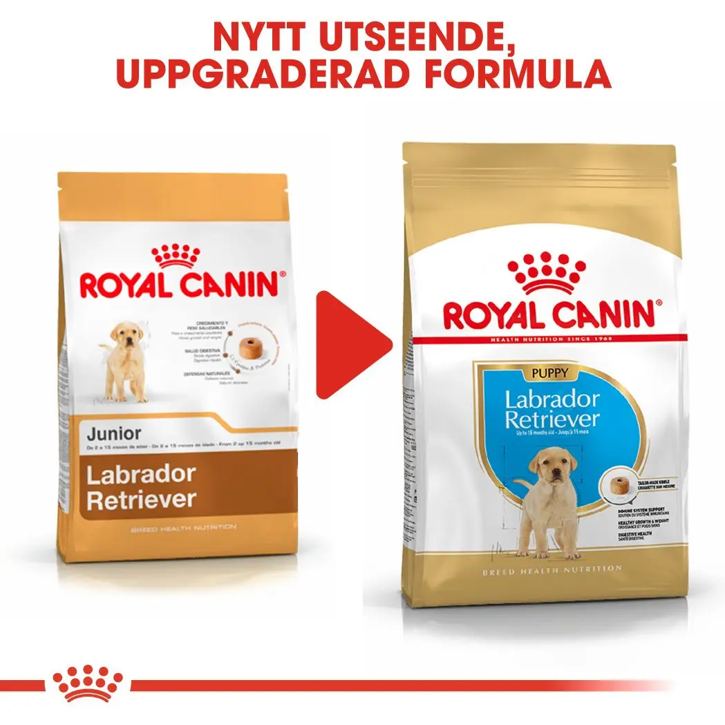 Labradorinnoutaja Puppy Kuivaruoka pennuille