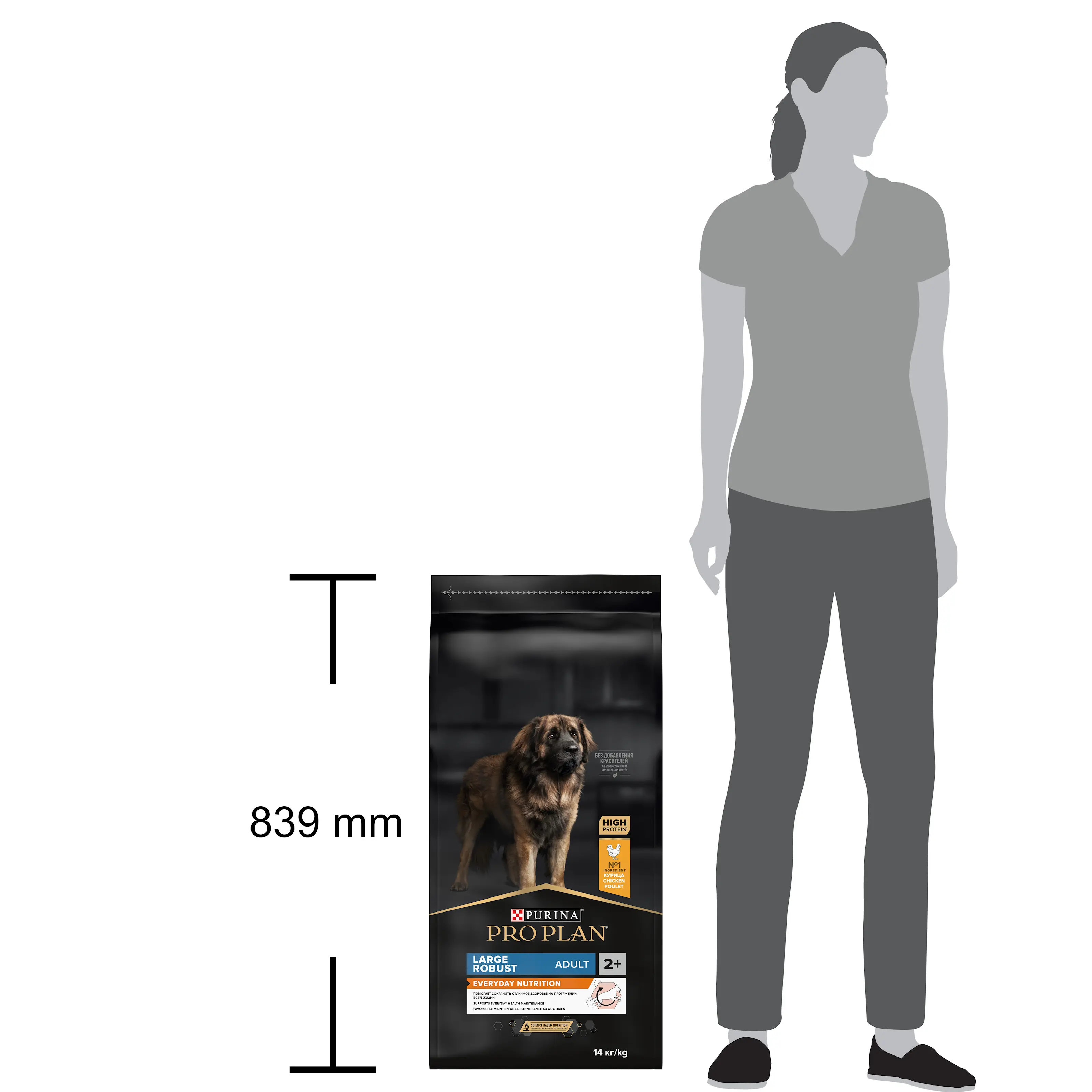 Large Adult Robust Dog Kylling