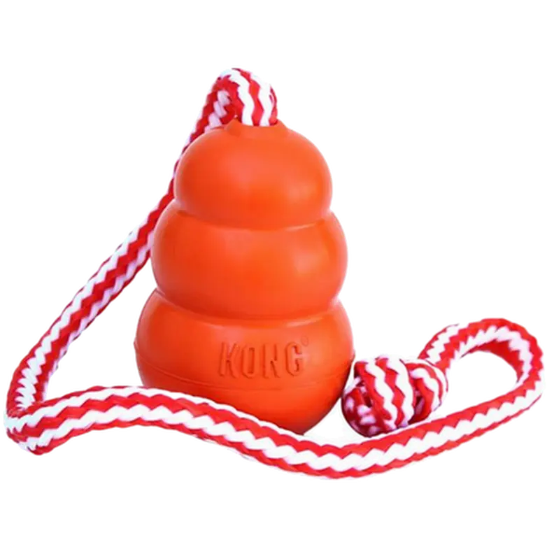 KONG Aqua Schwimmspielzeug mit Seil für Hunde