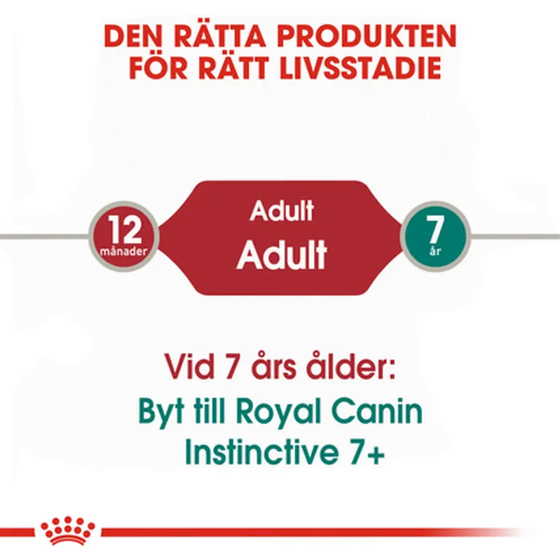 Instinctive Adult kissan märkäruoka kastikkeessa