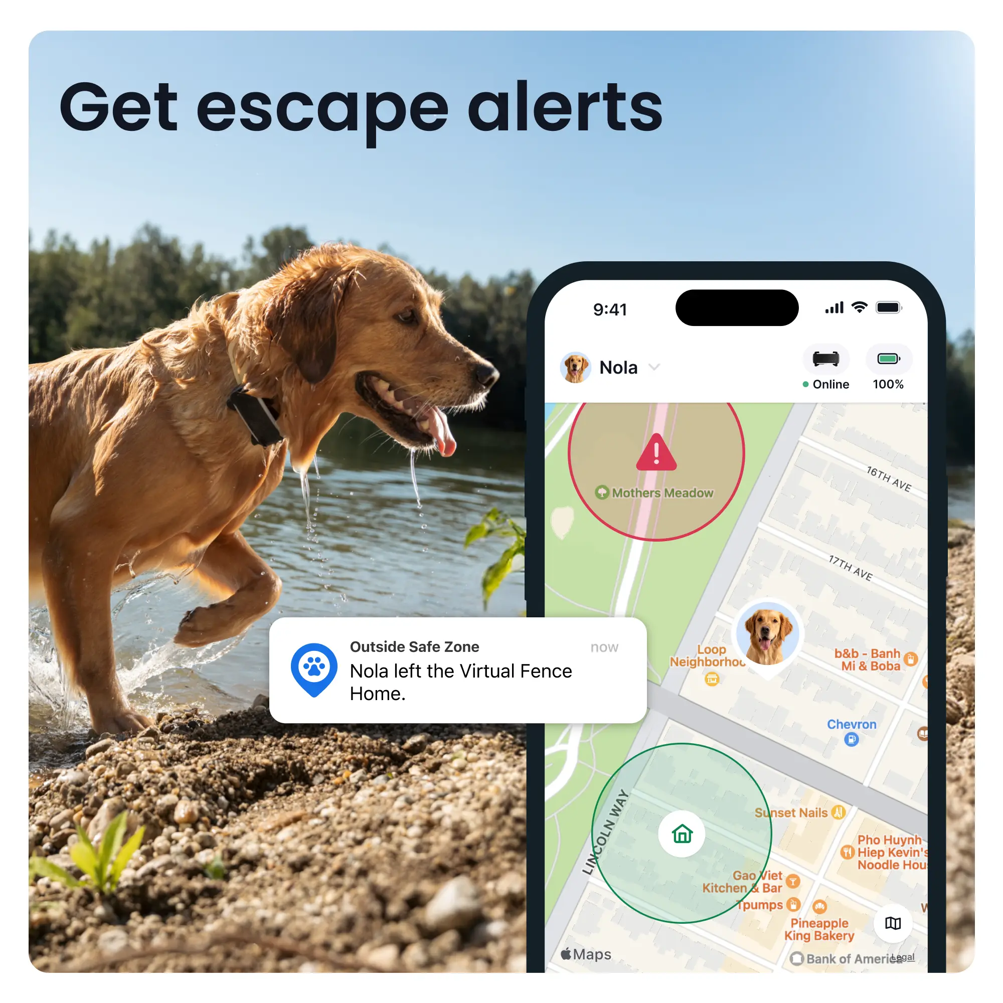 Tractive DOG 6 XL GPS-tracker svart