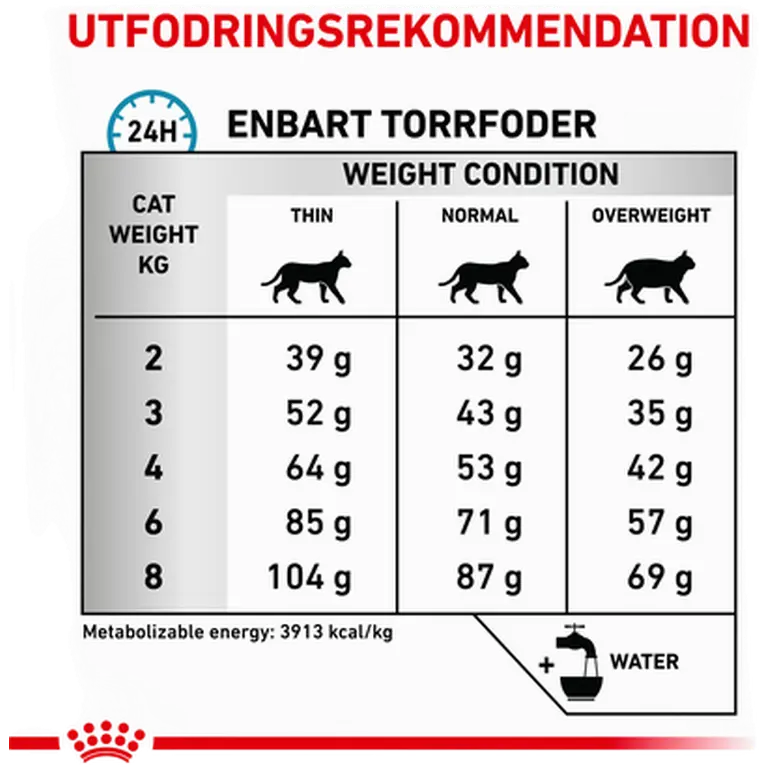 Derma Anallergenic torrfoder för katt
