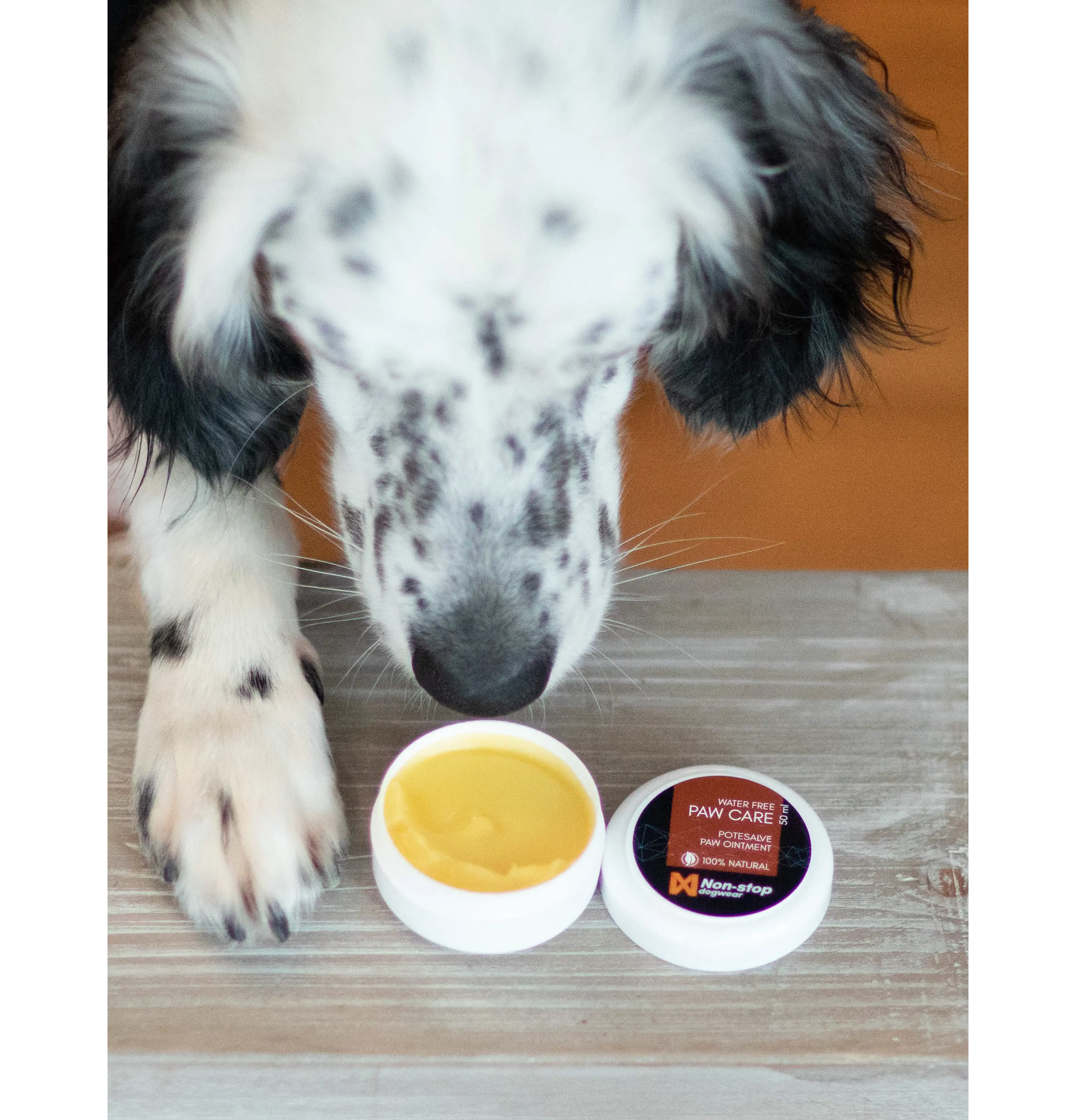 Paw Care Tassalve
