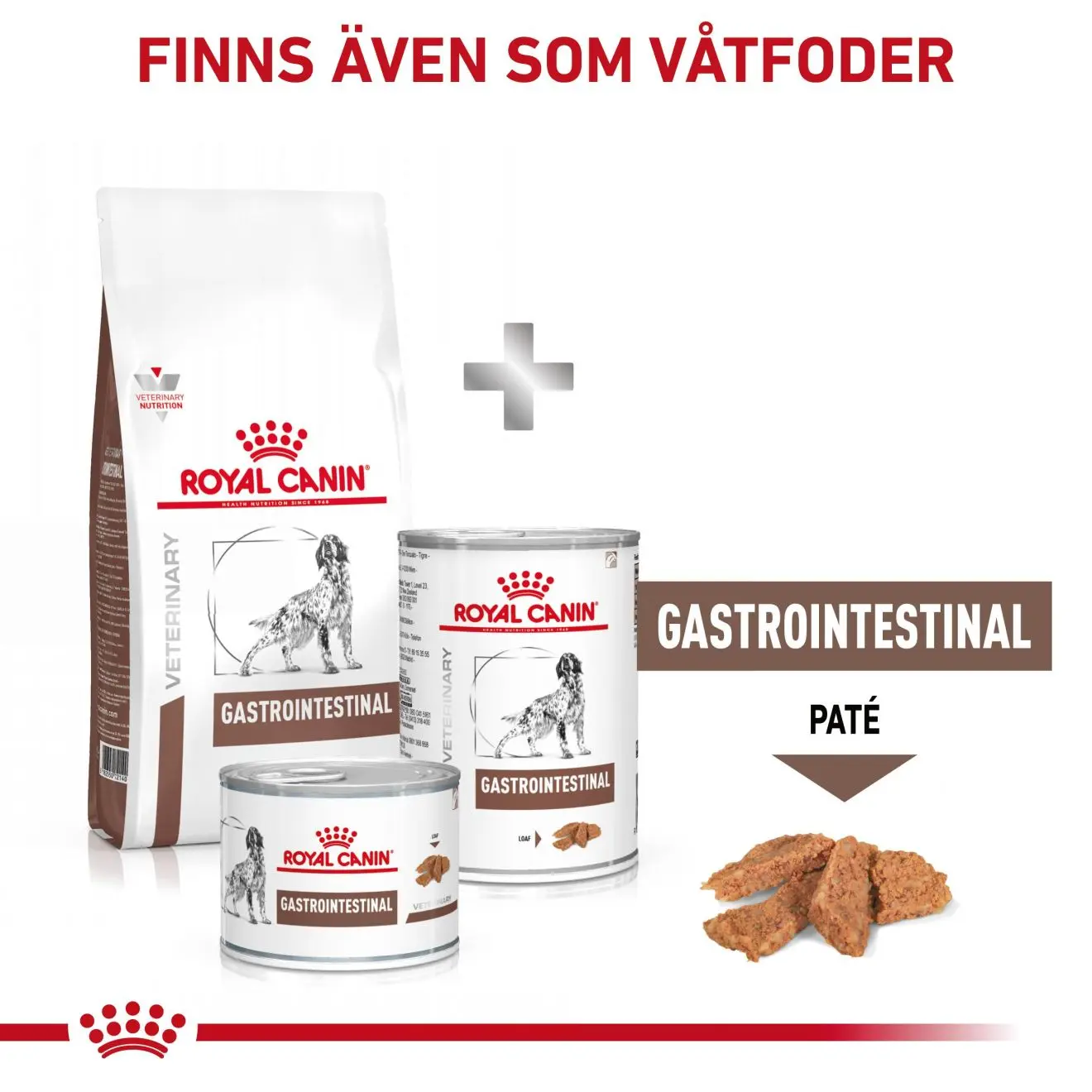 Gastrointestinal Torrfoder för hund