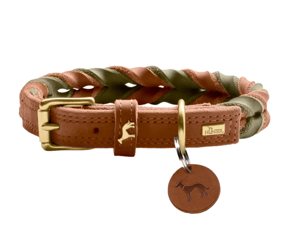 Hundhalsband Solid Education Duo Cognac/Olivgrön