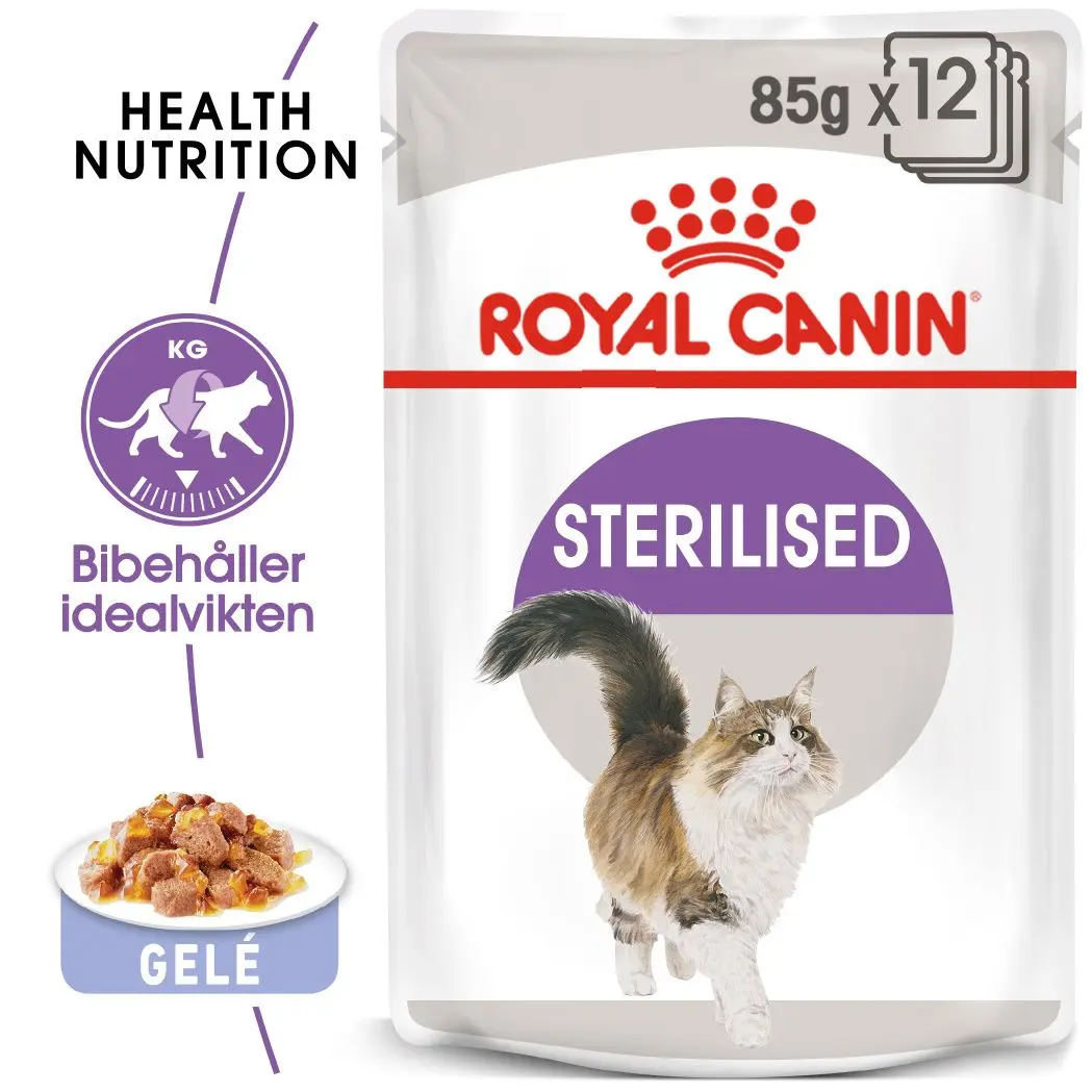 Sterilised Adult kissan märkäruoka hyytelössä