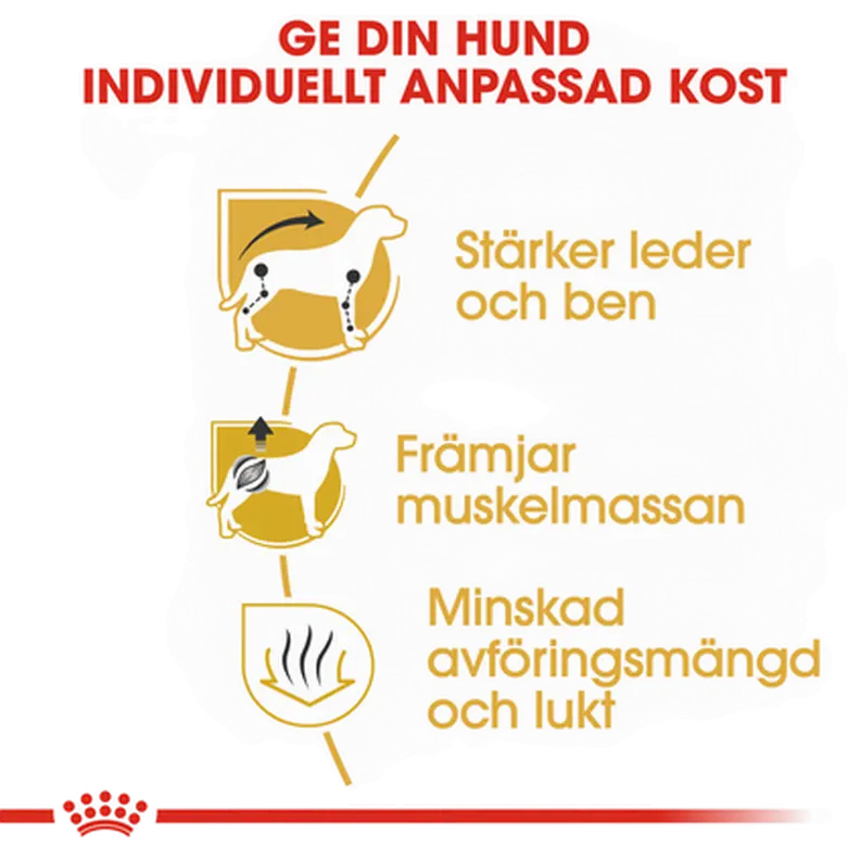 Mäyräkoira Adult Dry food koirille