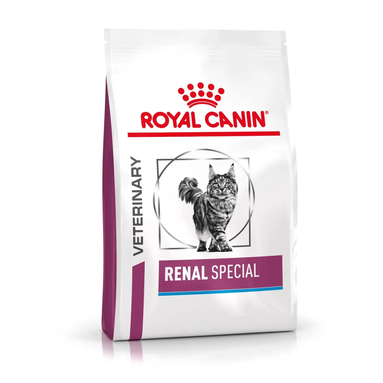 Renal Special Kuiva kissanruoka 2 kg