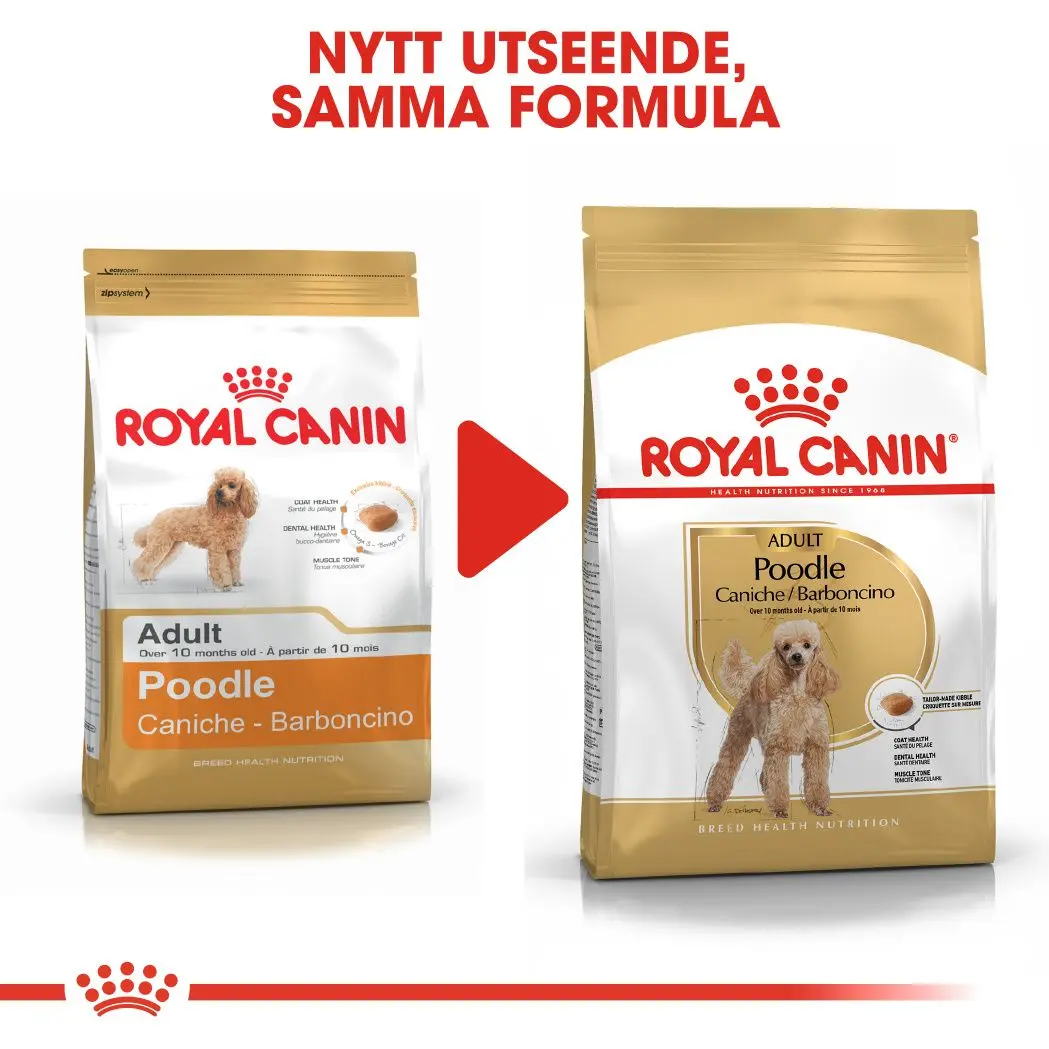 Poodle Adult Dry food koirille