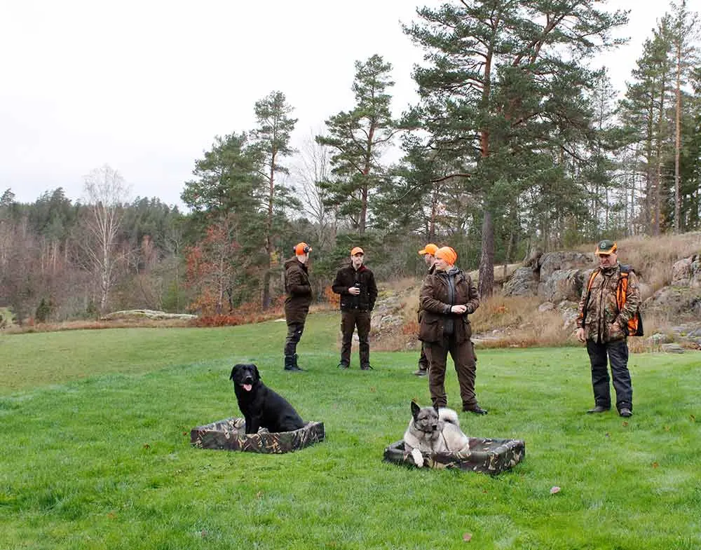 Biabädd Camo - Hundbädd Camouflage