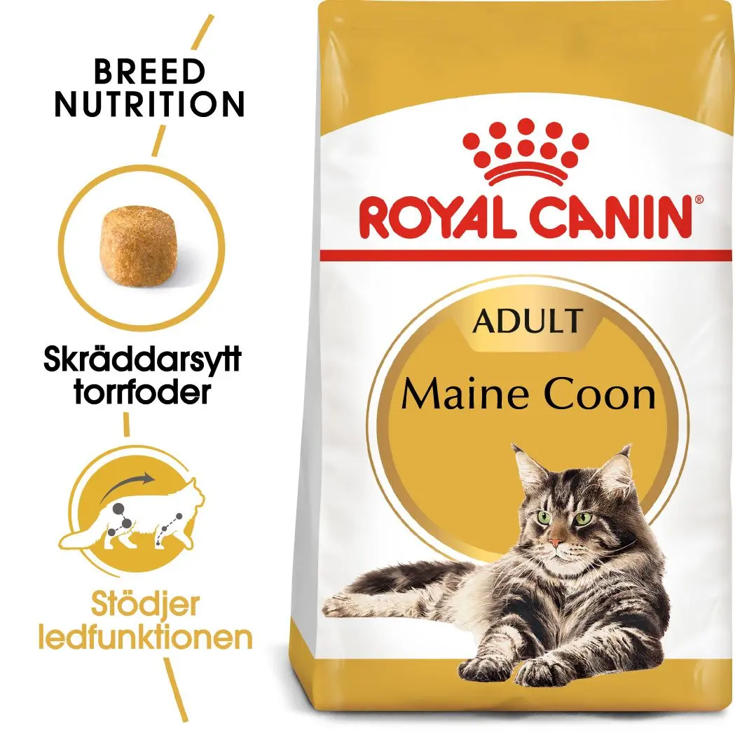 Maine Coon Adult kissan kuivaruoka