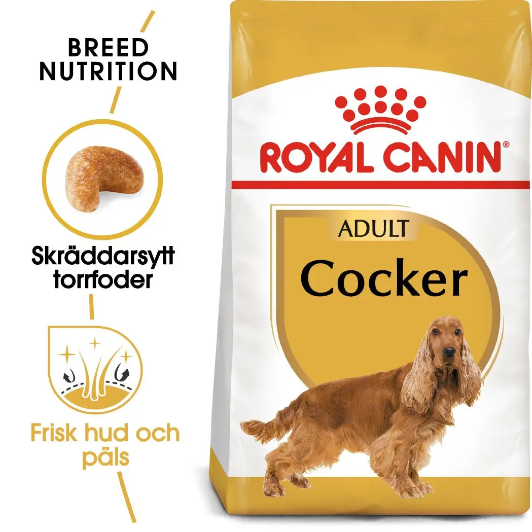Cocker Spaniel Adult Dry food koirille