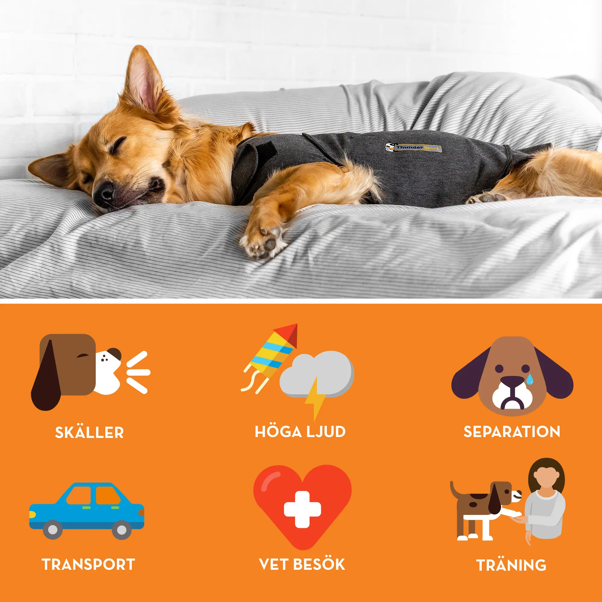 Thundershirt