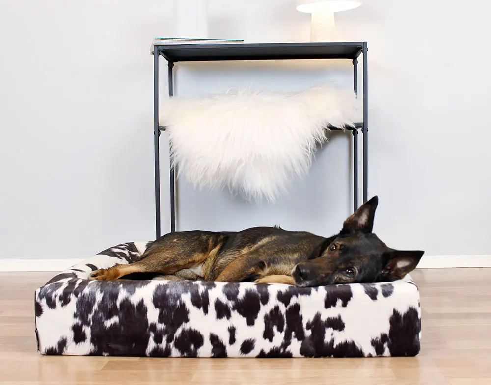 Kannet Premium Cow kuviollinen