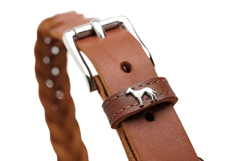 Hundhalsband Solid Education Special Cognac
