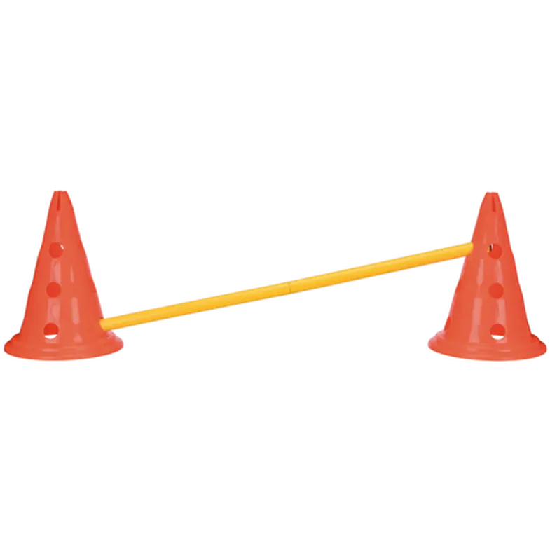 Dog Activity Obstacles set