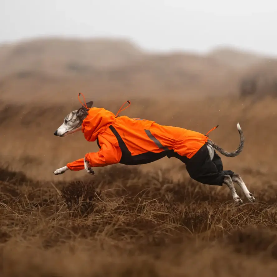 Non-stop dogwear Fjord Overall Raincoat – vandtæt hundeoverall