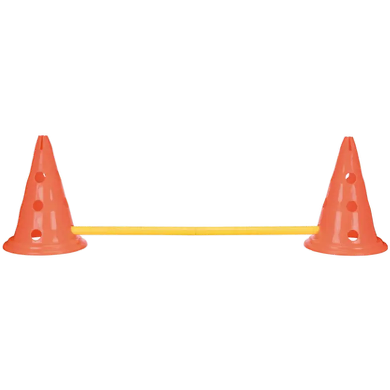 Dog Activity Obstacles set