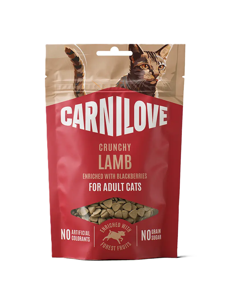Cat Crunchy Snack Lam beriket med bjørnebær 50 g