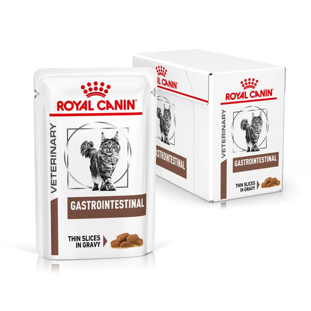 Gastro Intestinal Thin Slices In Gravy kissan märkäruoka