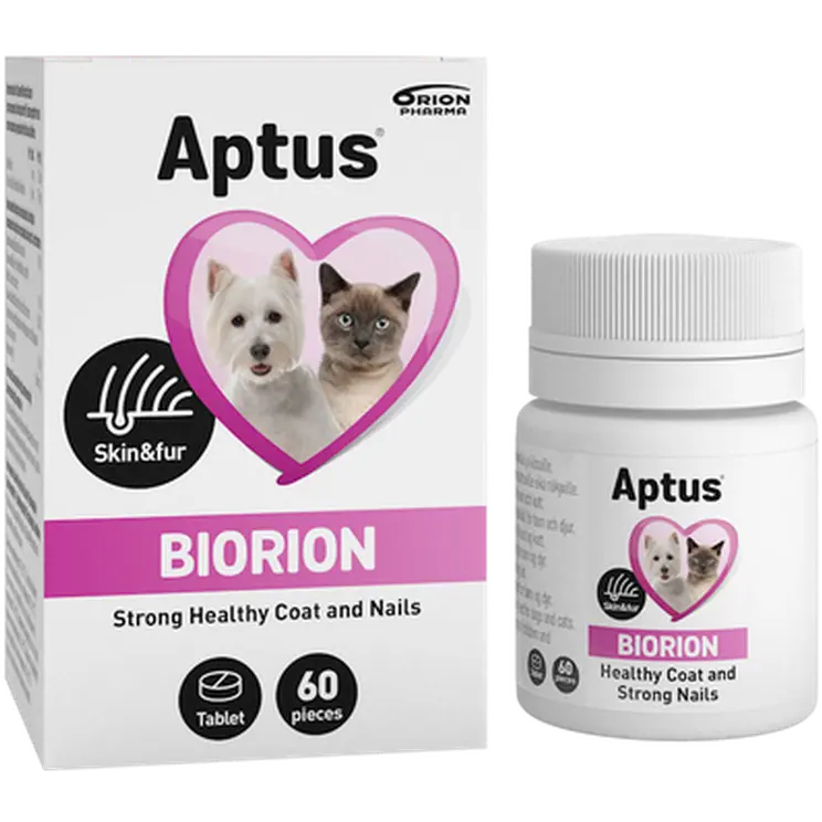 Biorion -tabletit 60kpl