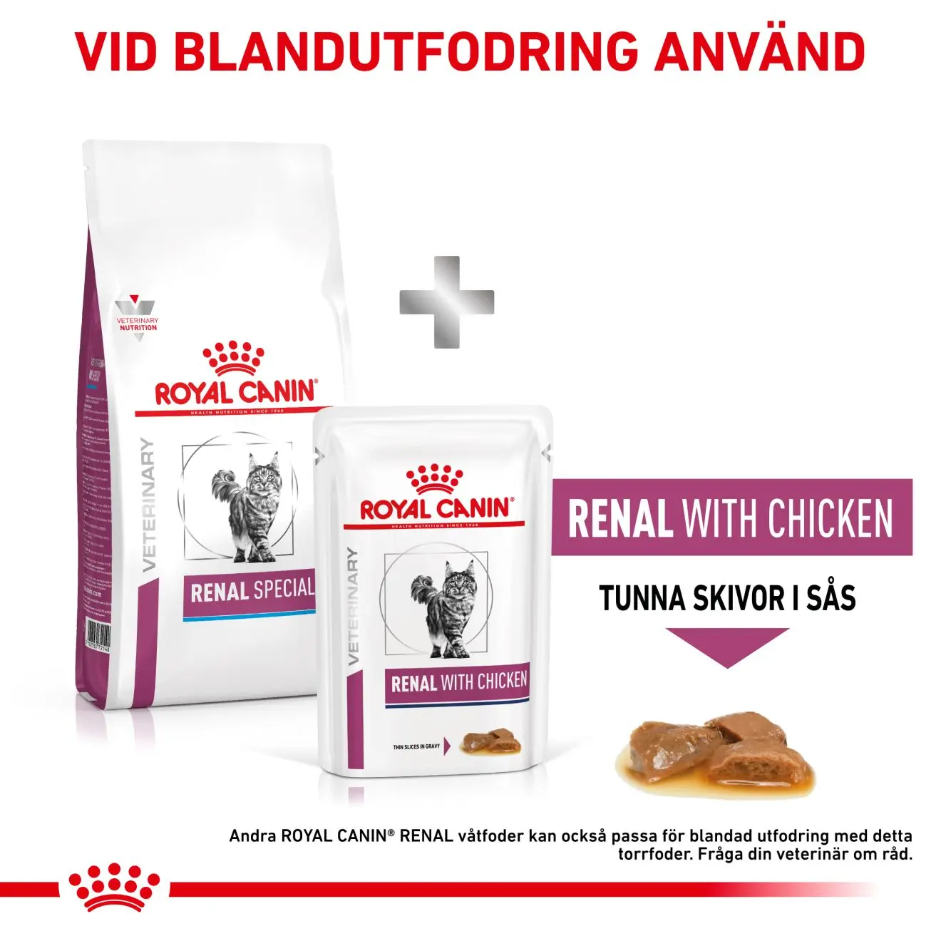 Renal kissan kuivaruoka