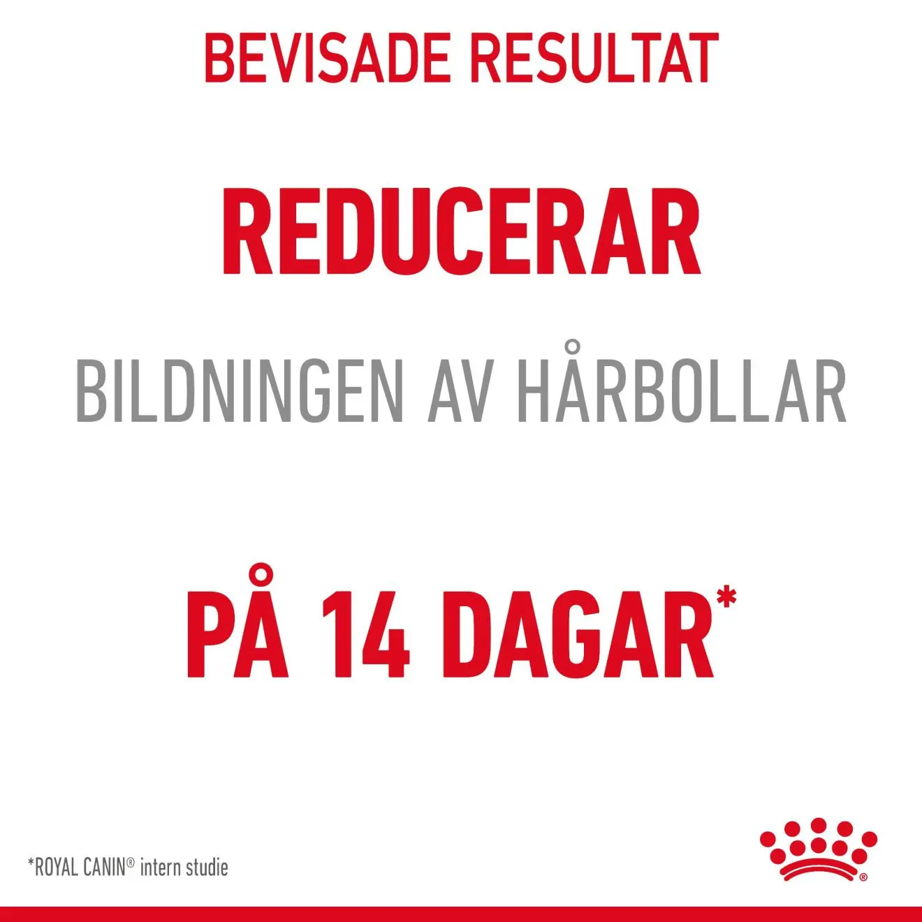 FCN Hairball Care Gravy Adult kissan märkäruoka