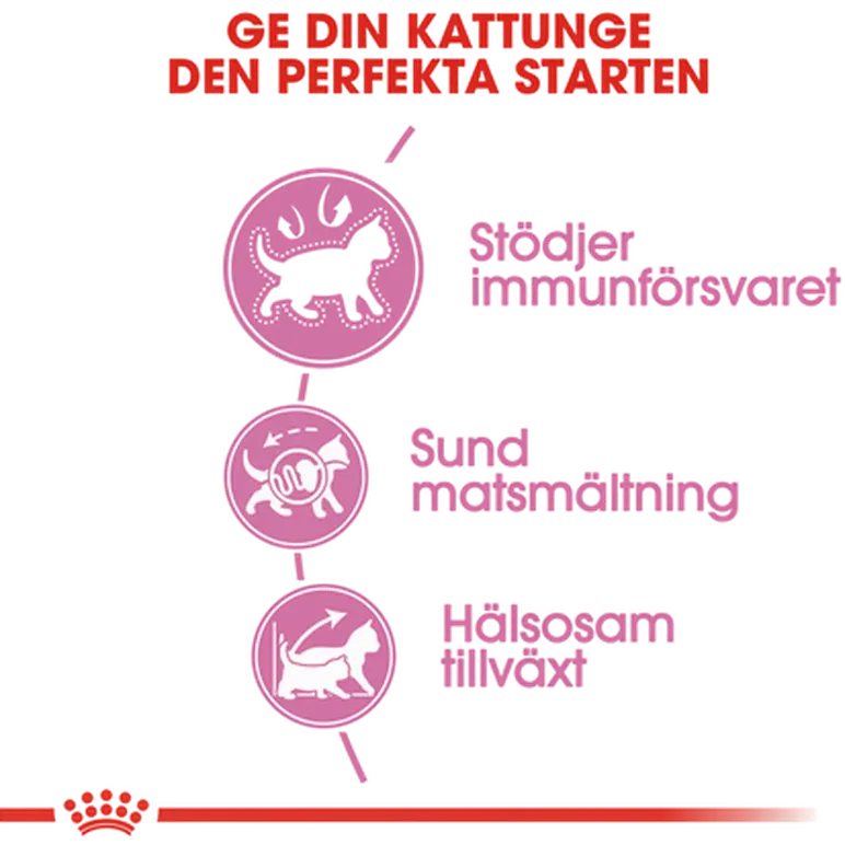 Kitten kissanpennun kuivaruoka