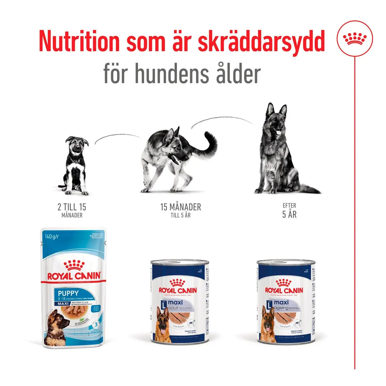 Maxi Adult Loaf Våtfôr for hunder