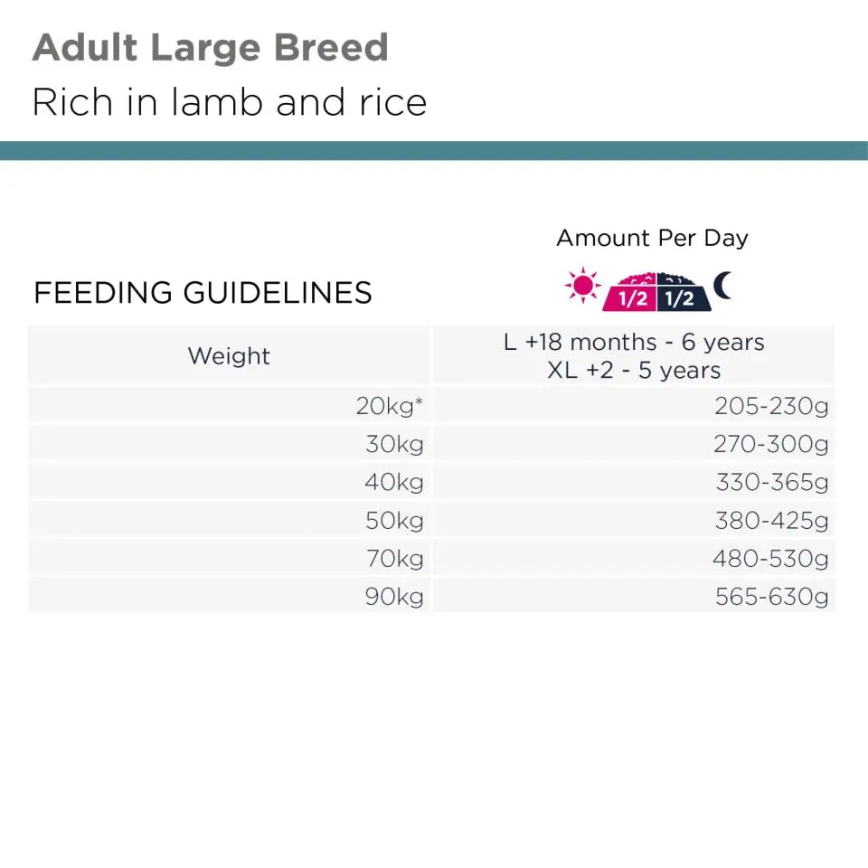 Dog Adult Large Lamb & Rice