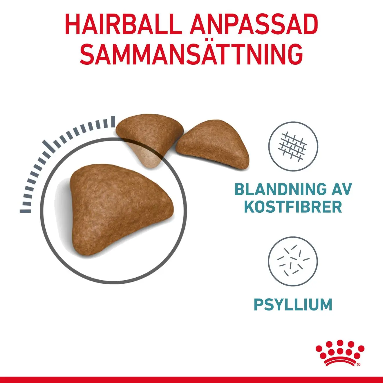 Hairball Care Adult kissan kuivaruoka