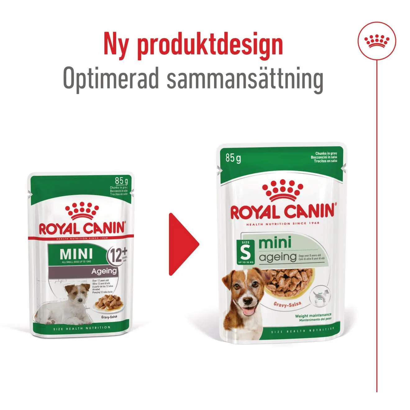 Mini Ageing Märkäruoka koirille