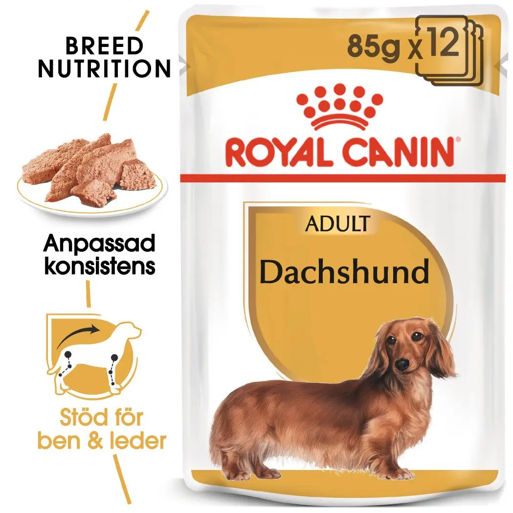 Dachshund Adult Märkäruoka koirille