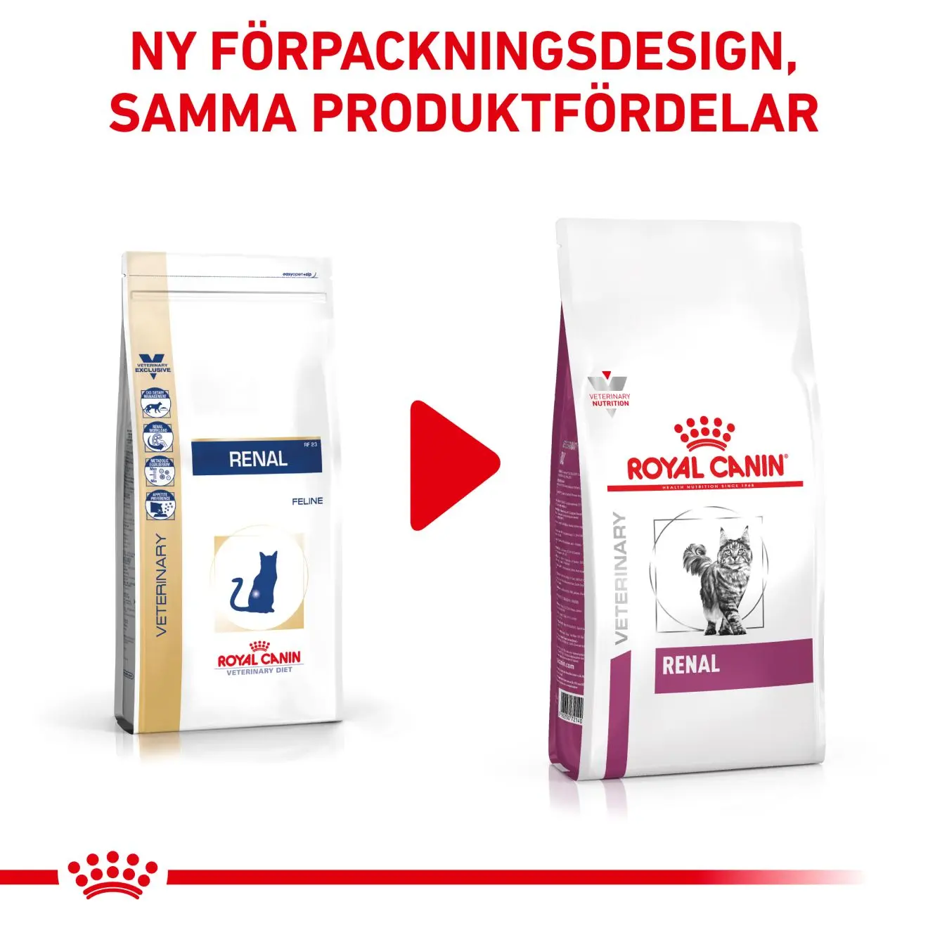 Renal Torrfoder för katt