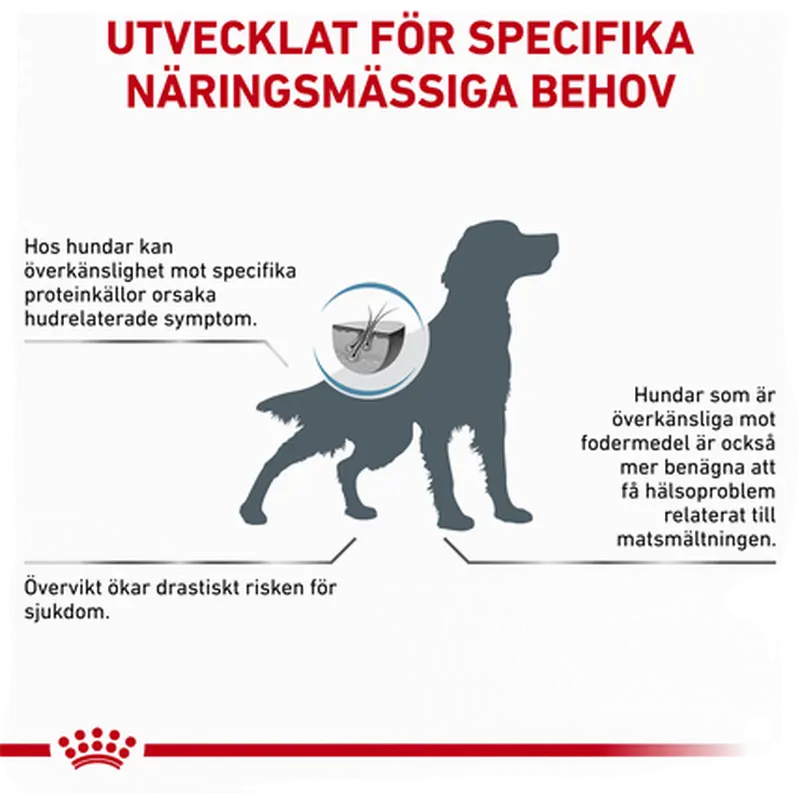 Derma Hypoallergenic Moderate Calorie kuivaruoka koirille
