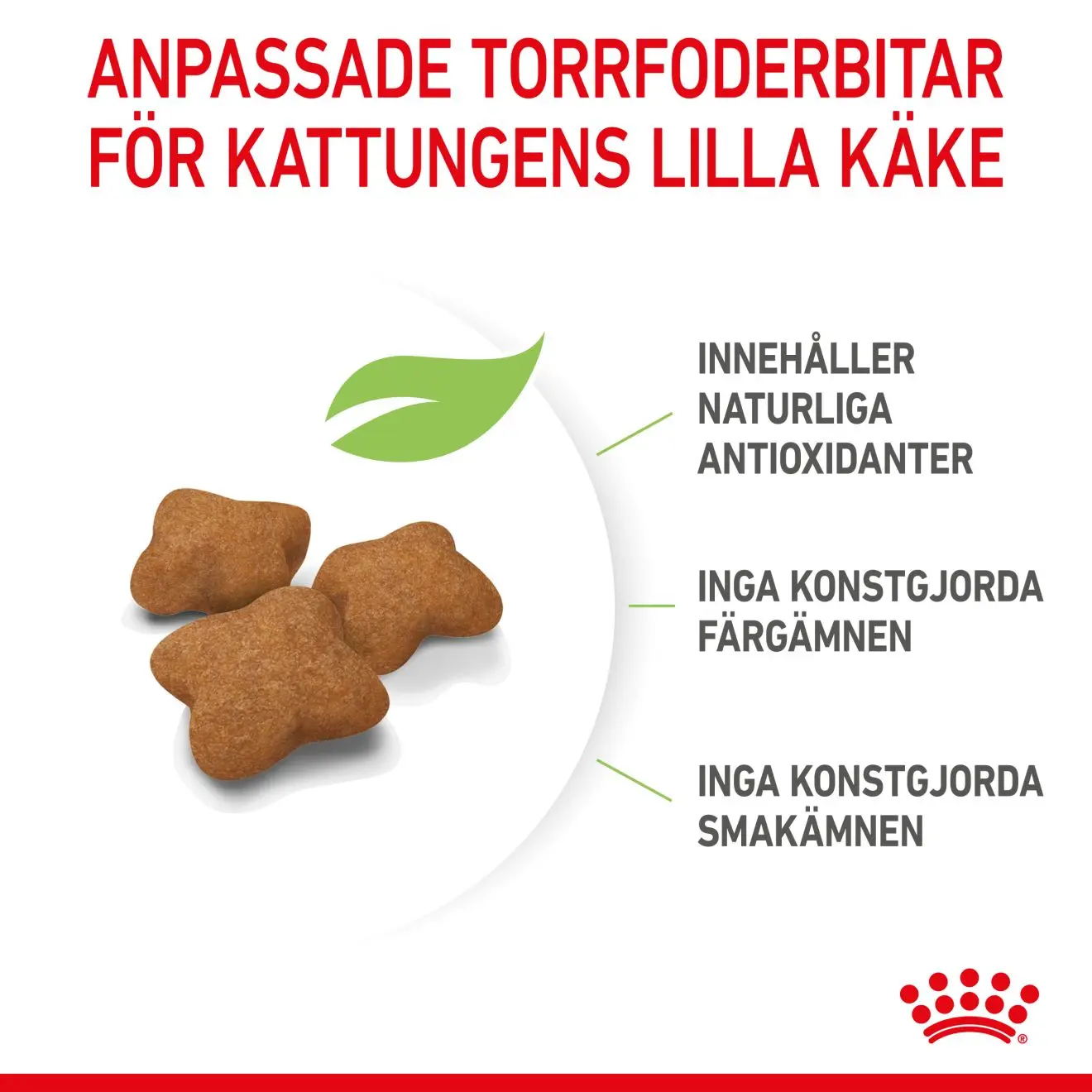 Kitten Sterilised kissanpennun kuivaruoka