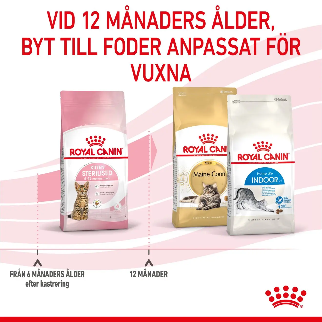 Kitten Sterilised kissanpennun kuivaruoka