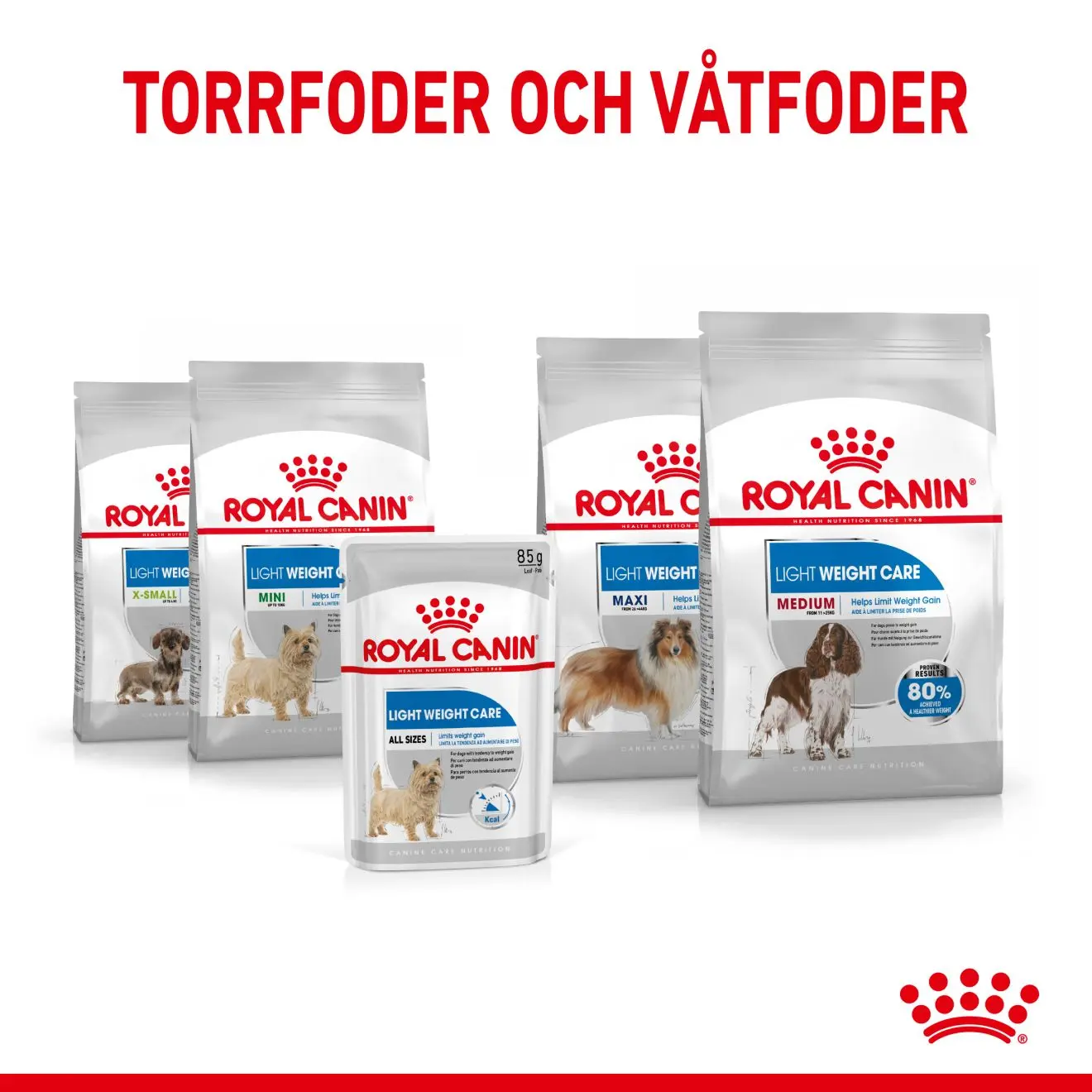 Light Weight Care Adult Loaf Märkäruoka koirille