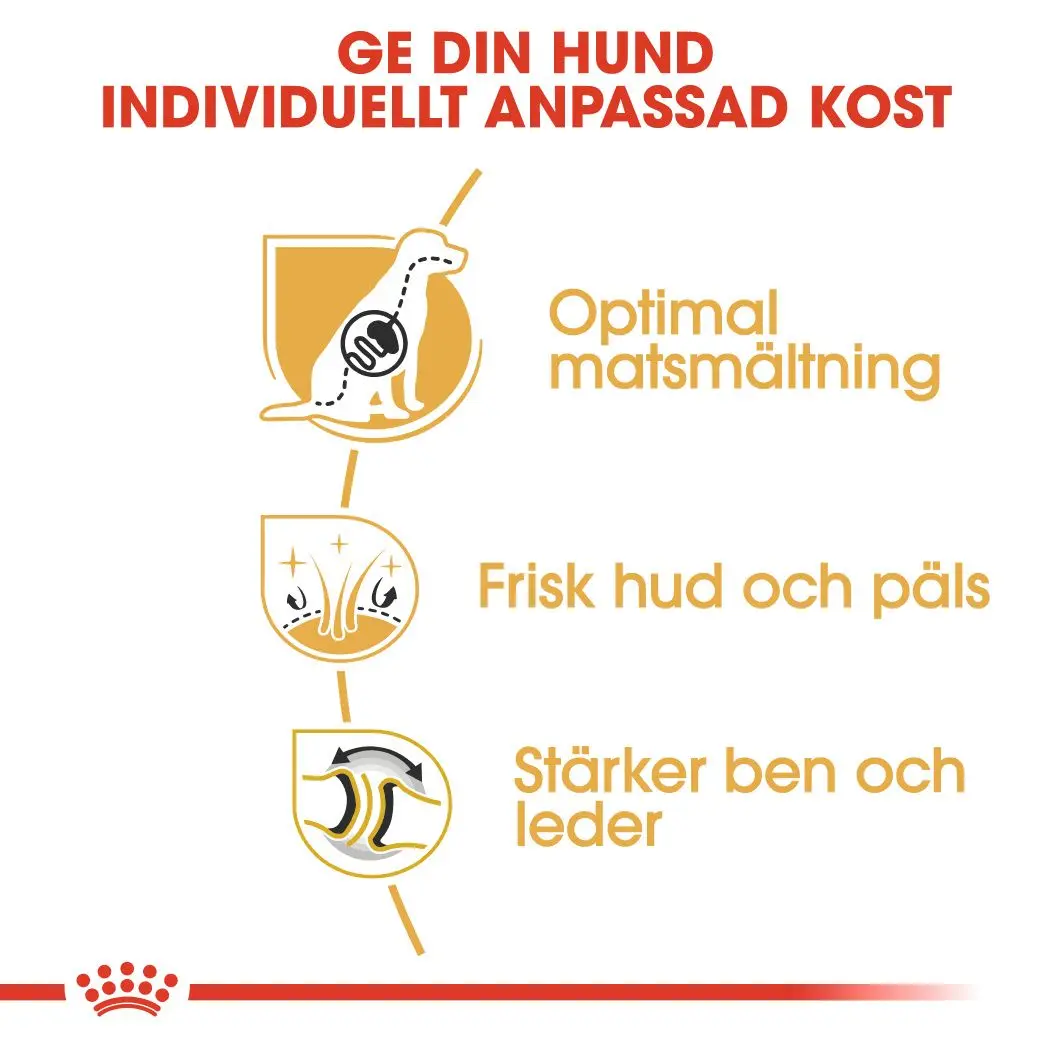 Saksanpaimenkoira Aikuisten kuivaruoka koirille