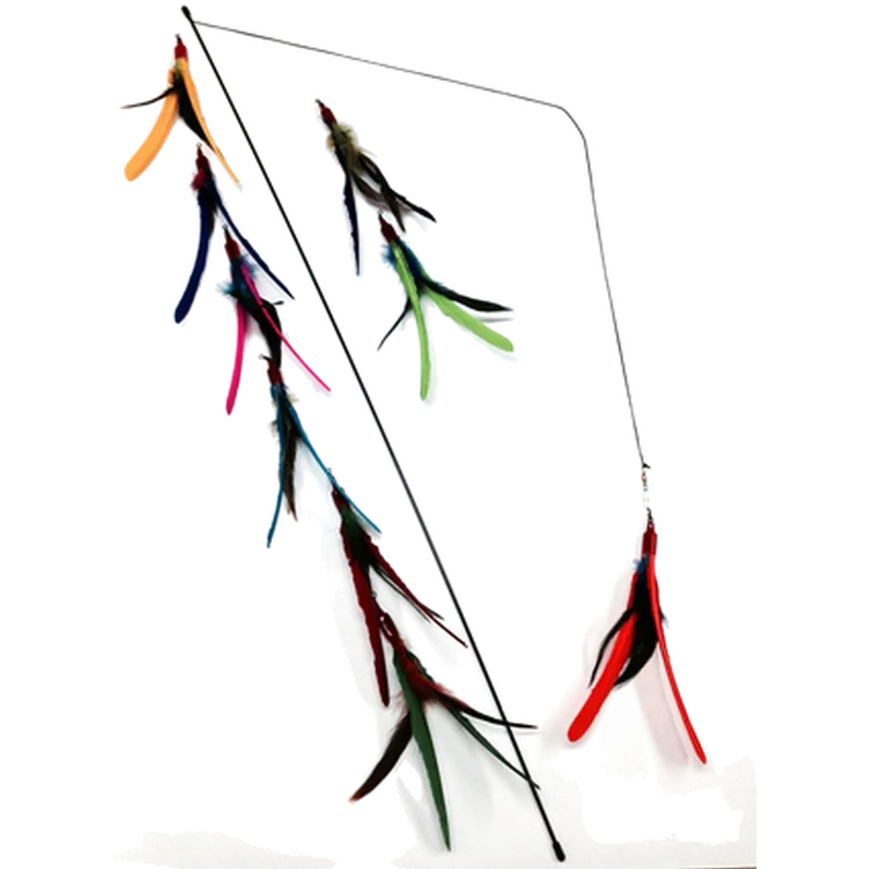 Da Bird™ Cat Toy Kissan vapa