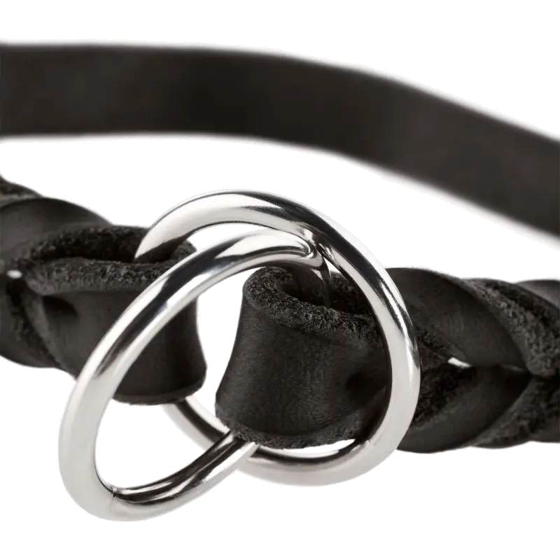 Hundhalsband Ställbart Solid Education Halvstryp Cognac