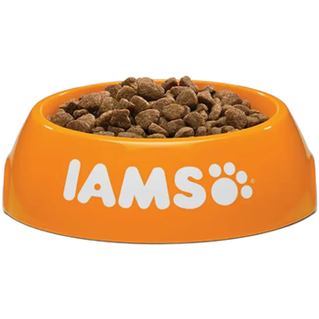 Cat Adult New Zealand Lamb & Chicken