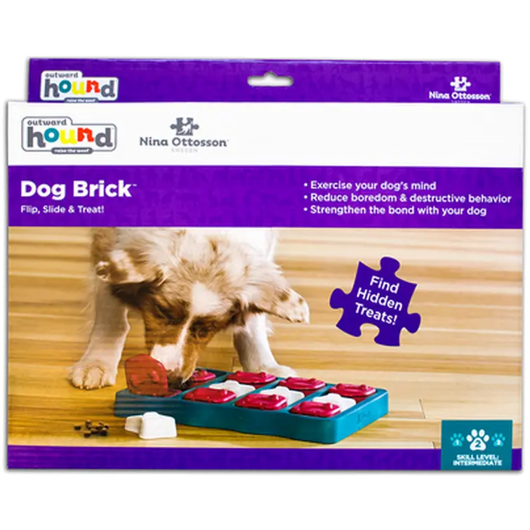 Dog Brick, Level 2 (Intermediate)