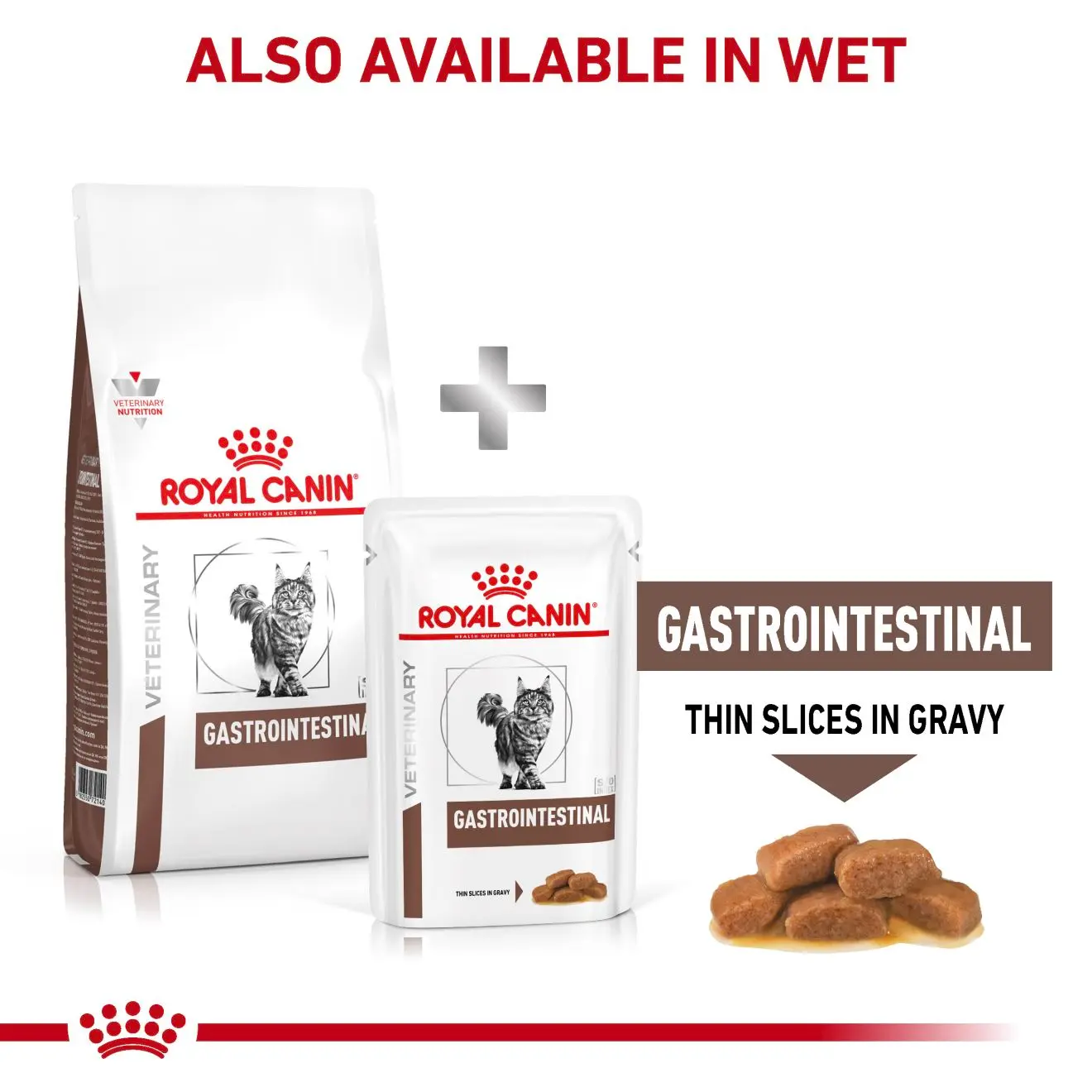 Gastrointestinal Torrfoder för katt
