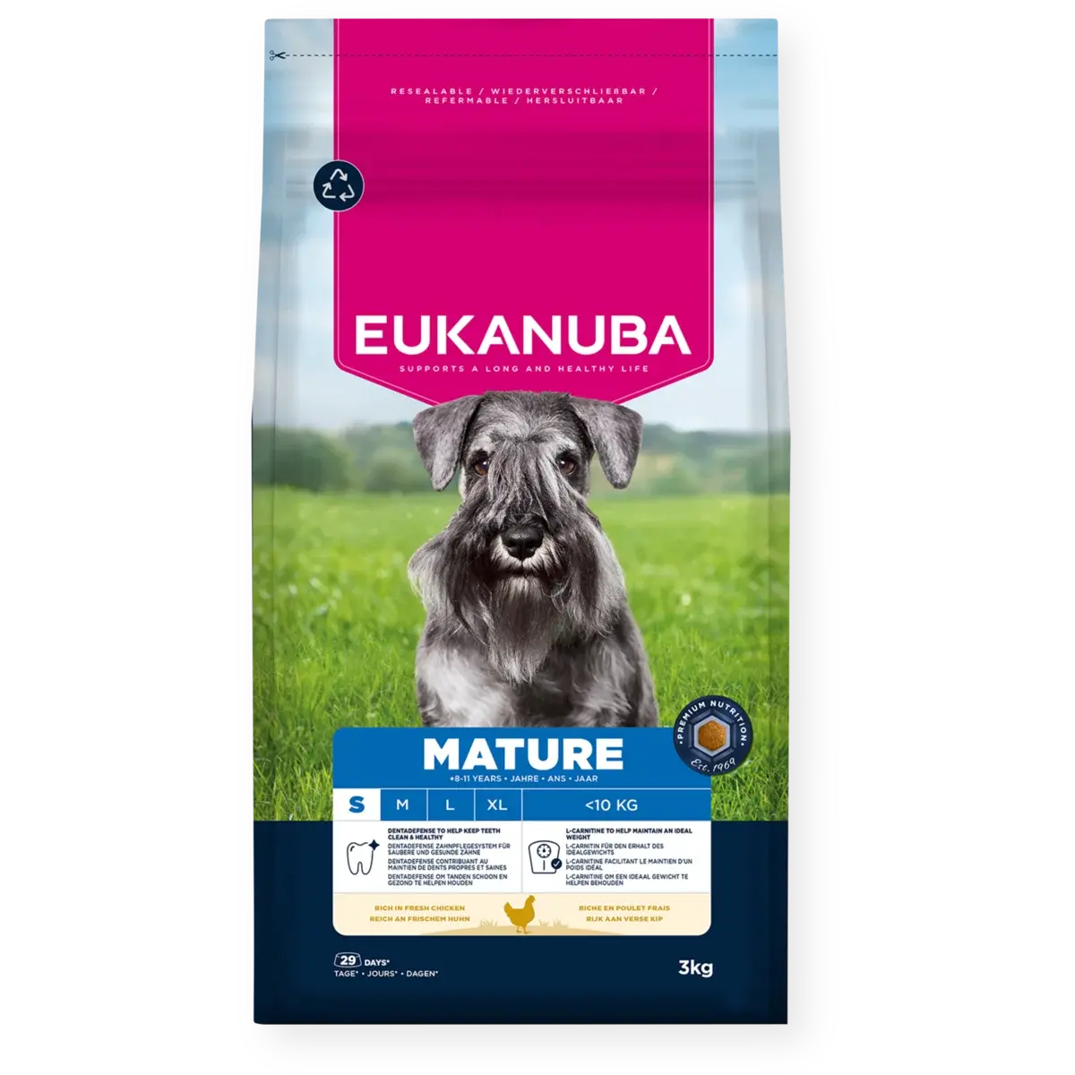 Dog Mature Small