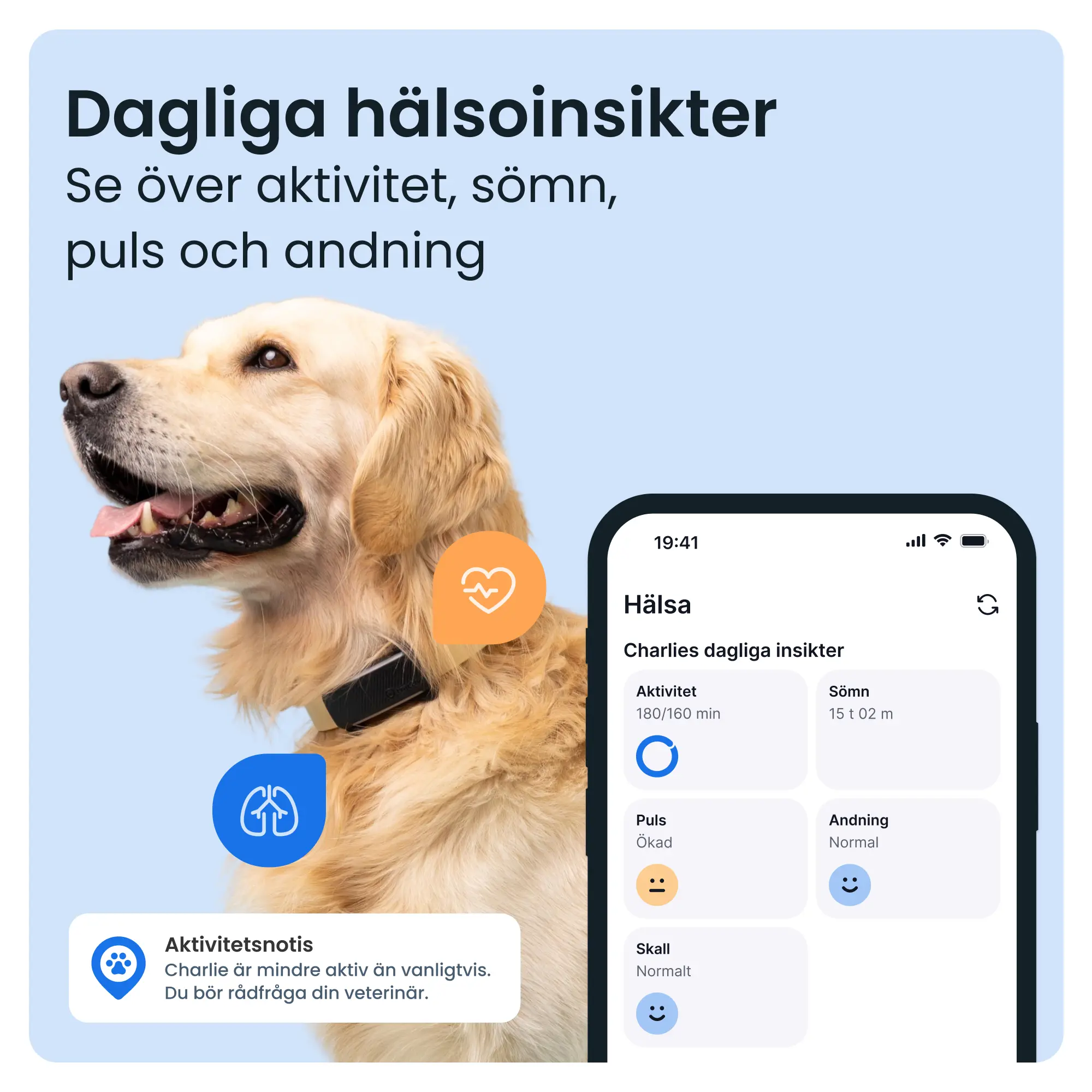 GPS-paikannin koiralle Koira 6 - Musta
