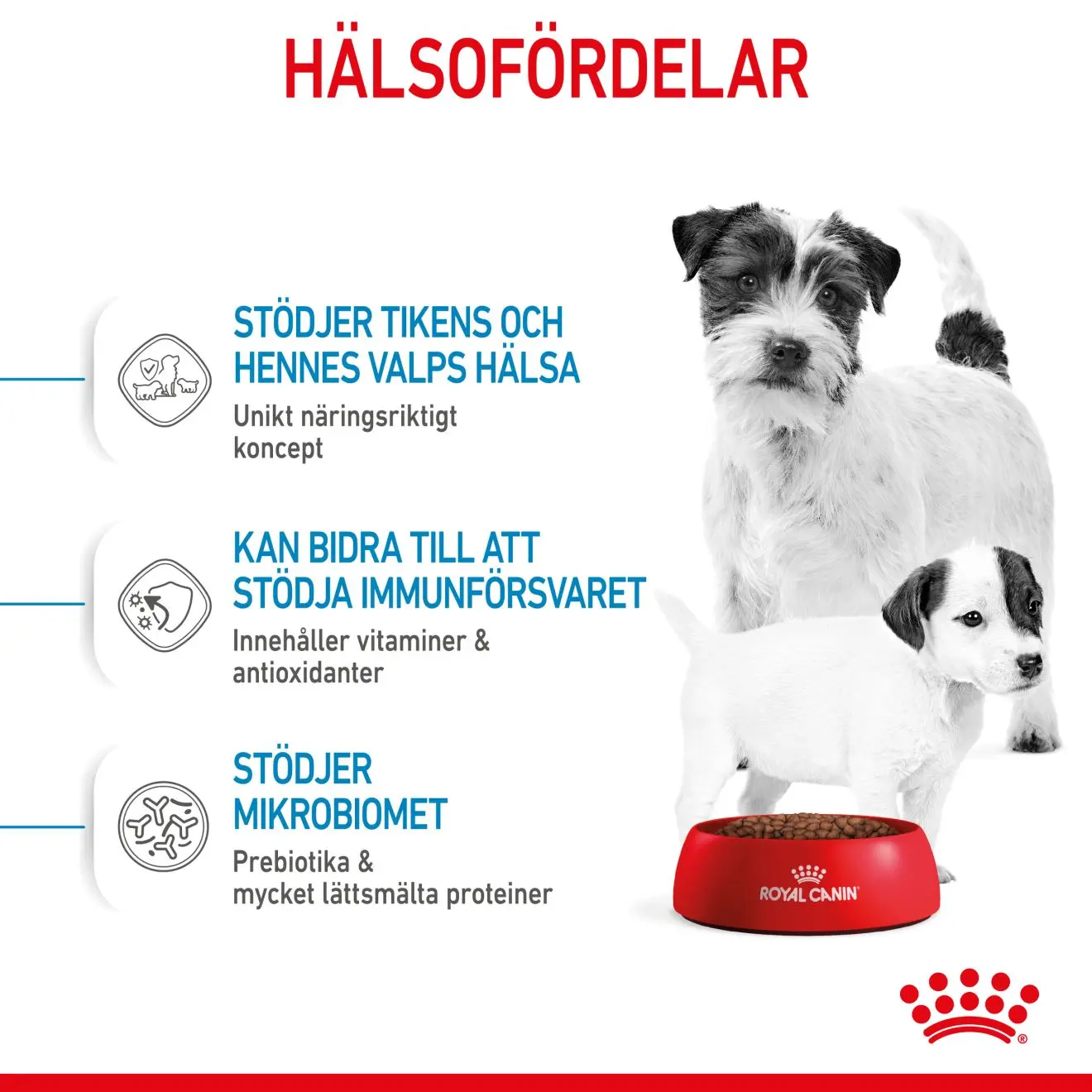 Mini Starter Mother &amp; Babydog Tørrfôr for hunder
